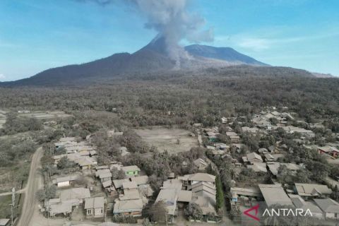 Debu vulkanis Gunung Lewotobi tutupi atap permukiman dan perkebunan warga