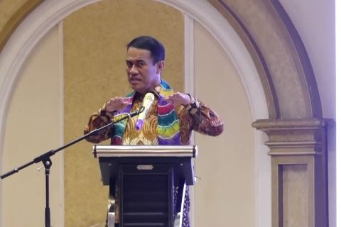 Mentan Amran sebut Kalsel bisa selesaikan masalah pangan nasional