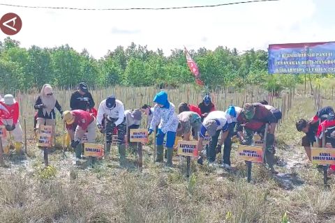 Peringati Hari Armada, Lanal Banjarmasin tanam ribuan mangrove