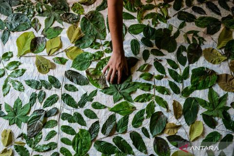 Uniknya kerajinan kain ecoprint di Desa Pemanuk kabupaten Serang