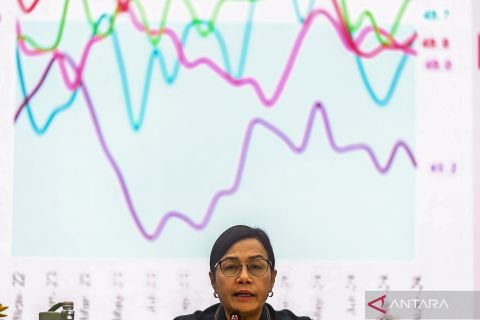 APBN defisit Rp401,8 triliun per November 2024 