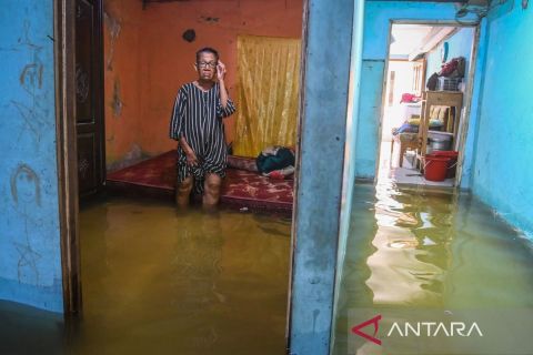 Banjir rob rendam permukiman warga di pesisir Tangerang