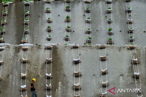 Beautifikasi penghijauan jalan tol Padang - Sicincin