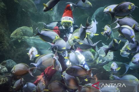 Foto pilihan pekan keempat Desember 2024