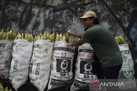 Pedagang jagung musiman menjamur jelang malam pergantian tahun
