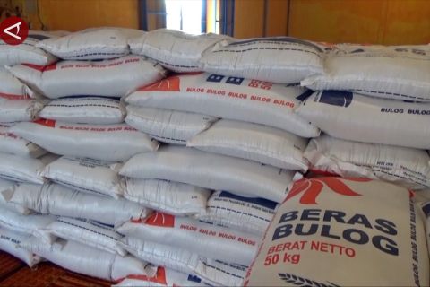 Bulog Sultra serap beras petani lokal 32.669 ton