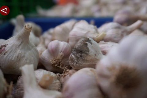 Jelang Natal-Tahun Baru, harga bawang putih di Sulsel diwaspadai