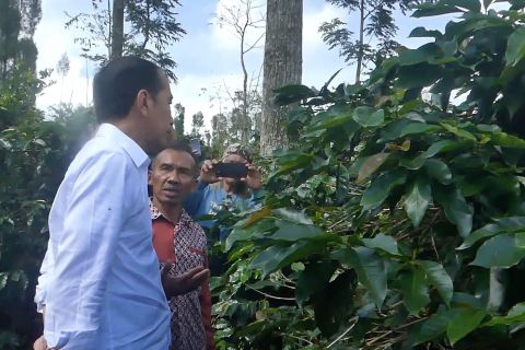 Jokowi sarankan petani kopi Temanggung pertahankan petik merah