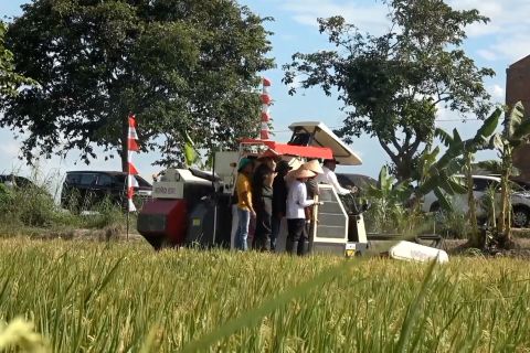 Kemendagri pastikan sinkronisasi pusat-daerah dukung swasembada pangan