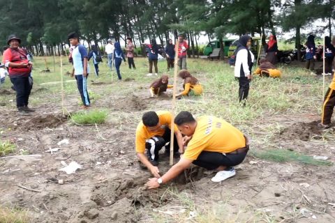 Penanaman 2.500 pohon di pesisir pantai Batang untuk cegah abrasi