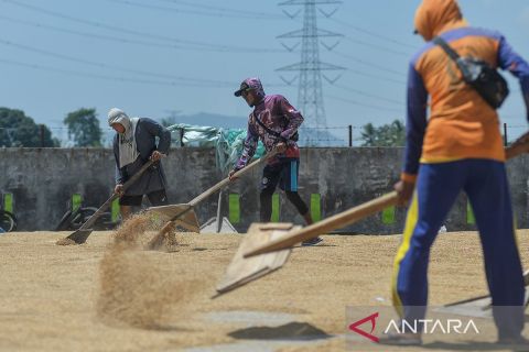 Kenaikkan HPP gabah sebagai upaya dukung pencapaian target swasembada pangan