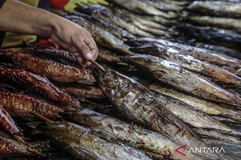 Berburu ikan cakalang fufu pada liburan tahun baru di Ternate