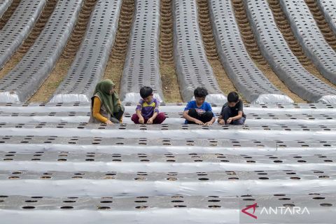 Big Farmer Program in Kertawangi Tourism Village