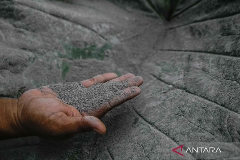 Hujan abu di Desa Tobaru akibat sebaran abu vulkanik Gunung Ibu
