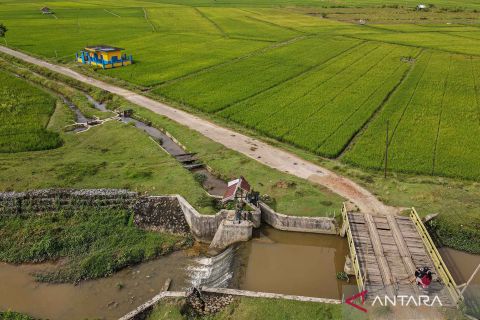 Sulawesi Tenggara usulkan cetak sawah baru hingga 20 ribu hektare tahun 2025