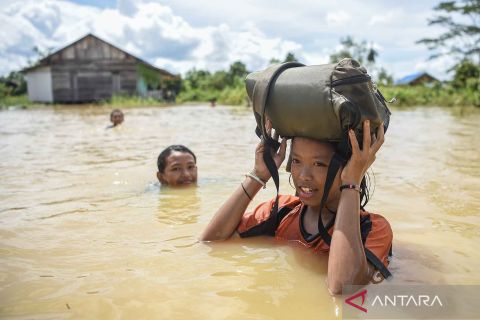 Sebanyak 297 KK terdampak banjir di Desa Adat Pampang Samarinda