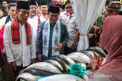 Gubernur dan Wagub Jakarta terpilih tinjau Festival Bandeng Rawa Belong