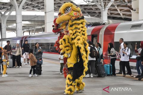 Atraksi barongsai memeriahkan perayaan Imlek di berbagai daerah