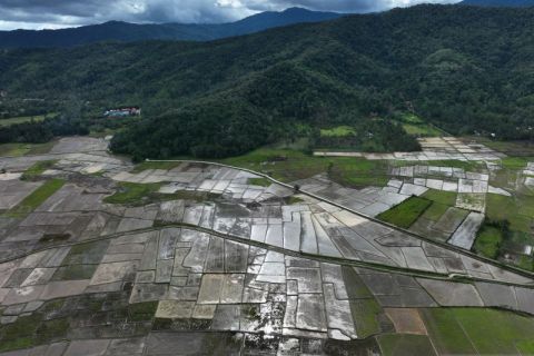 Pelarangan ubah alih fungsi lahan pertanian