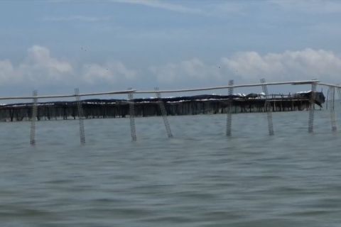KKP tegaskan tidak berikan izin pemanfaatan ruang laut di Tangerang