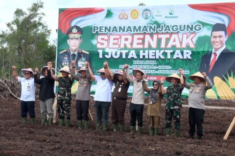 Polda Kalteng tanam jagung serentak di lahan 600 hektare