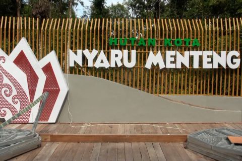 Akhir pekan pertama 2025, Hutan Kota Nyaru padat pengunjung