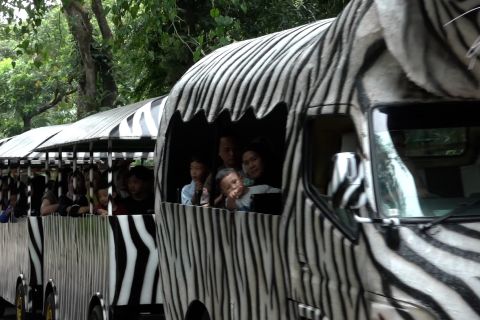 Angka pengunjung Ragunan melonjak pada libur Isra Mikraj dan Imlek