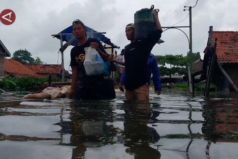 Banjir di Pekalongan meluas hingga 4 kecamatan, 361 warga mengungsi