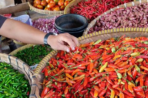 Cabai rawit merah di Cilegon tembus Rp100 ribu per kg