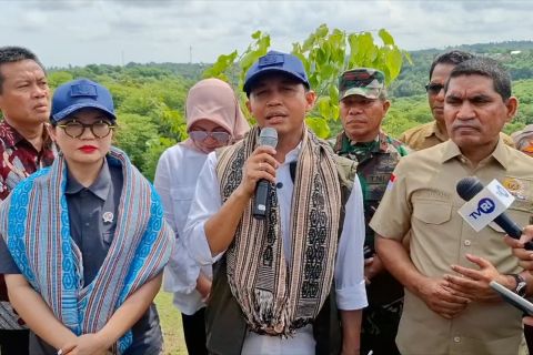 Menhut pimpin aksi tanam satu juta pohon serentak dari Kupang