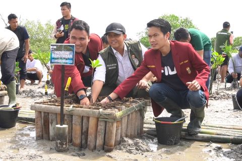 Menhut pimpin program penanaman 50 ribu bibit mangrove di Bali