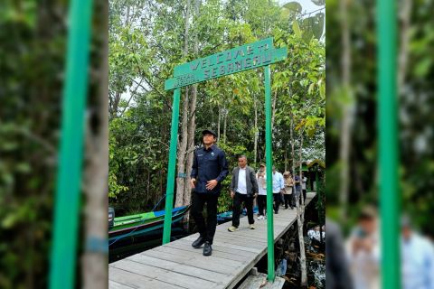 Menteri lingkungan hidup tinjau sekat kanal di Taman Nasional Sebangau