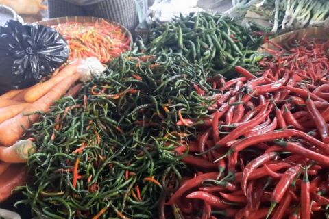 Pemprov NTB upayakan harga cabai turun dan stabil sebelum Ramadhan