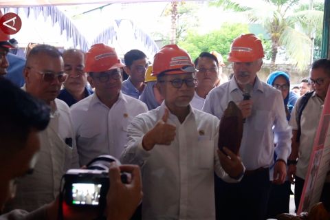 Bernilai ekonomi tinggi, Menko Pangan dorong peremajaan kebun kakao