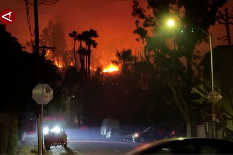 Kebakaran hutan hampiri Hollywood, pengumuman nominasi Oscar ditunda