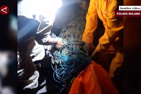 Petugas amankan 3 dari 5 ekor buaya yang lepas di Pulau Bulan