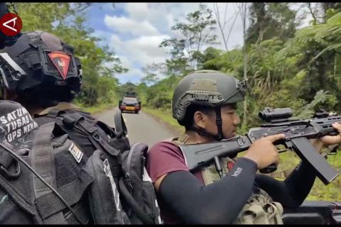 Satgas damai cartenz fokus buru KKB di dua provinsi Papua