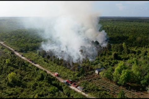 UPR kolaborasi untuk antisipasi kebakaran lahan gambut di Kalteng