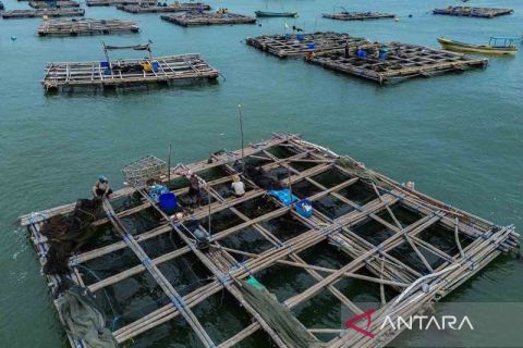 Target pencapaian swasembada pangan 2027 dengan perluasan budi daya perikanan