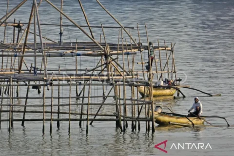 Kontribusi subsektor perikanan NTB