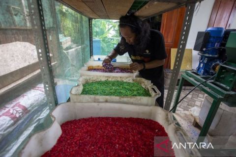 Produksi kerajinan berbahan daur ulang sampah plastik di Indramayu