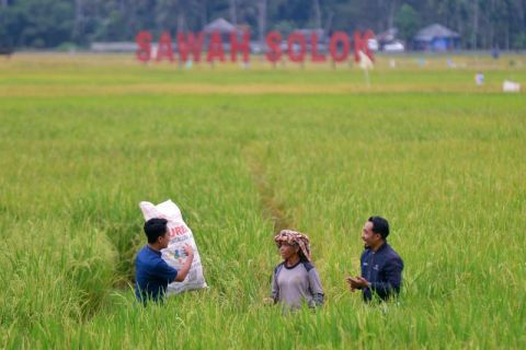 Sosialisasi dan edukasi petani di Solok