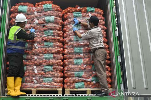 Badan Karantina Indonesia musnahkan 86,4 ton bawang bombai impor dari Belanda