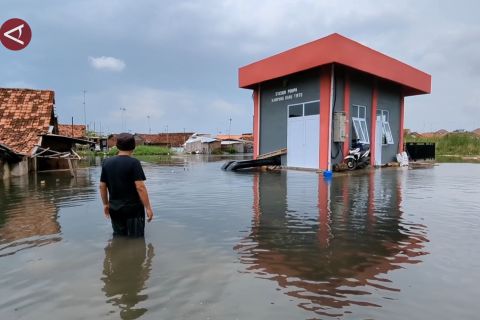 Warga terdampak banjir Pekalongan masih bertahan di pengungsian