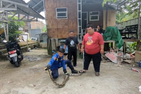 Habitat hewan liar terdesak, warga dilatih penanganan dan kewaspadaan