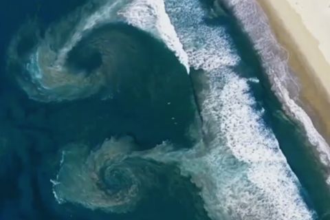 Mengenal Rip Current, arus balik gelombang laut yang mematikan