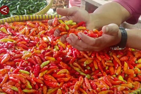 H-3 Ramadhan, harga cabai rawit merah hingga telur di Cilegon melonjak