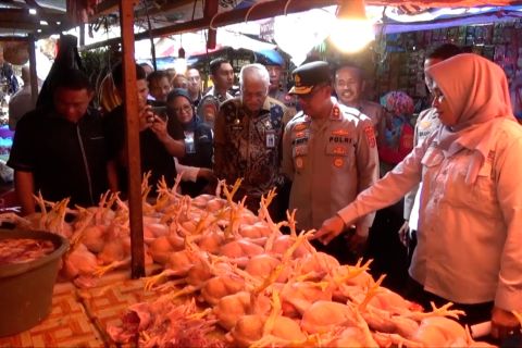 Satgas Pangan Sultra siap tindak penimbun kebutuhan pokok