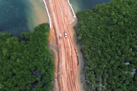 Pemerintah akan ambil alih 3,7 juta ha aset hutan yang dikelola swasta