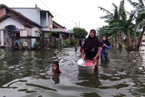 Dinkes Jateng waspadai penyebaran leptospirosis pasca banjir
